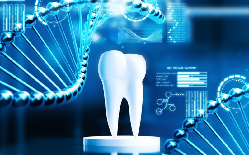 Caring For Your Teeth And Gums With A Periodontal Dentist