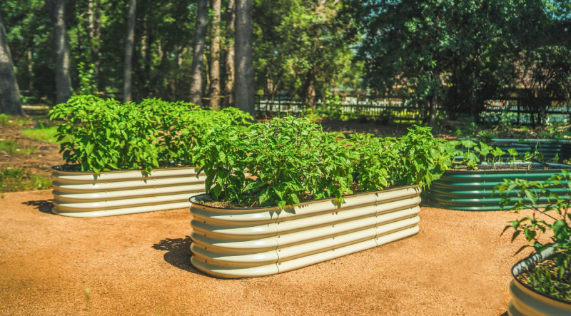Why Galvanized Raised Bed Planter Is The Future Of Gardening?