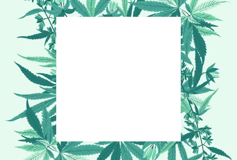 Guidelines For Obtaining A Medical Marijuana Card