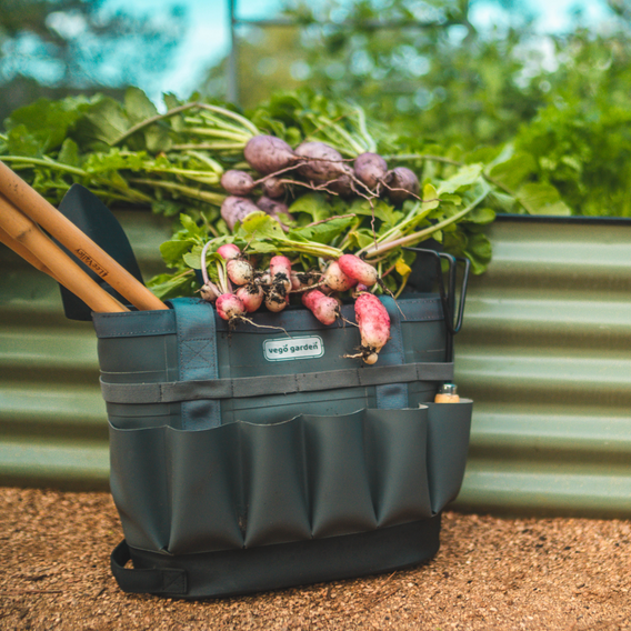 Plant Your Dream Garden With A Raised Garden Bed Kit
