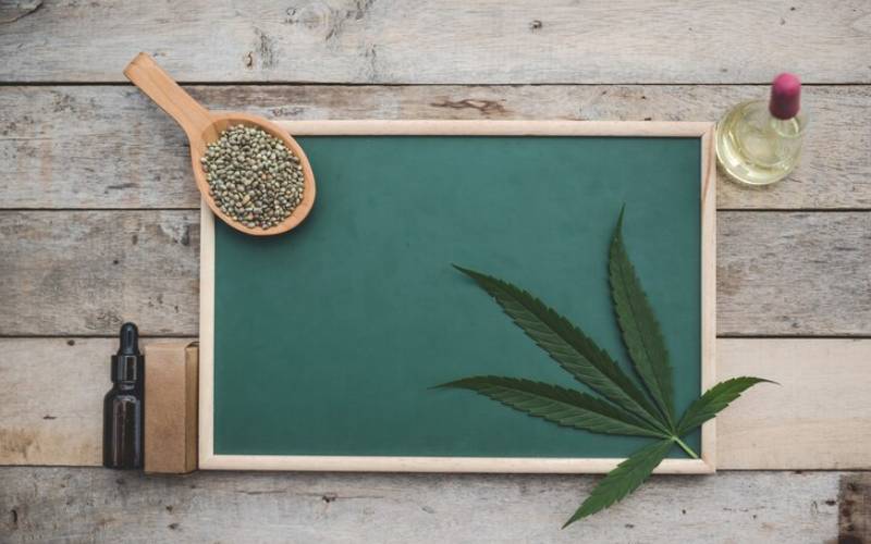 Cannabis Card Renewal: What To Expect And How To Prepare?