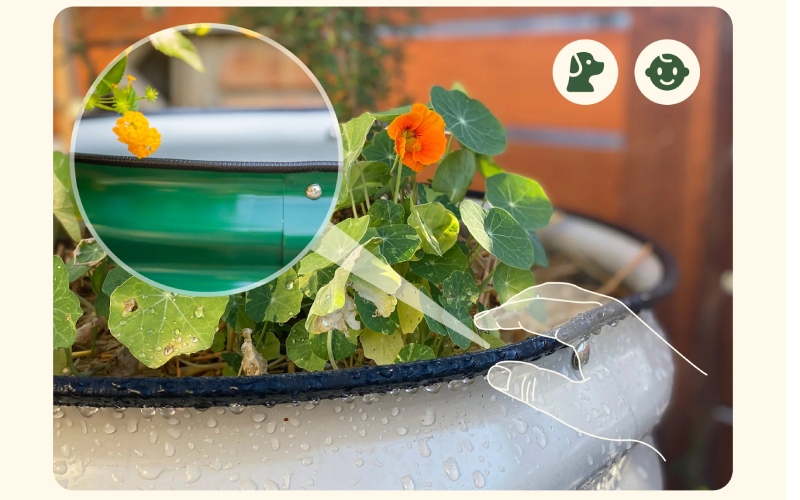 Resistant Gardens: The Beauty Of Galvanized Raised Beds