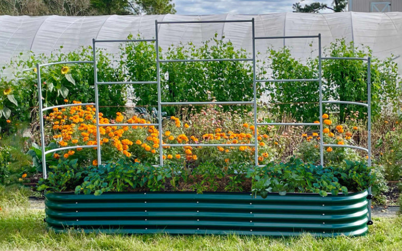 Cultivating Growth: Empowering You To GIY With Raised Garden Beds For Sale
