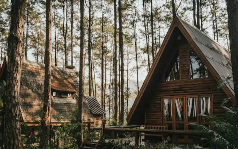 Exploring The Great Outdoors: The Benefits Of California Cabin Rentals