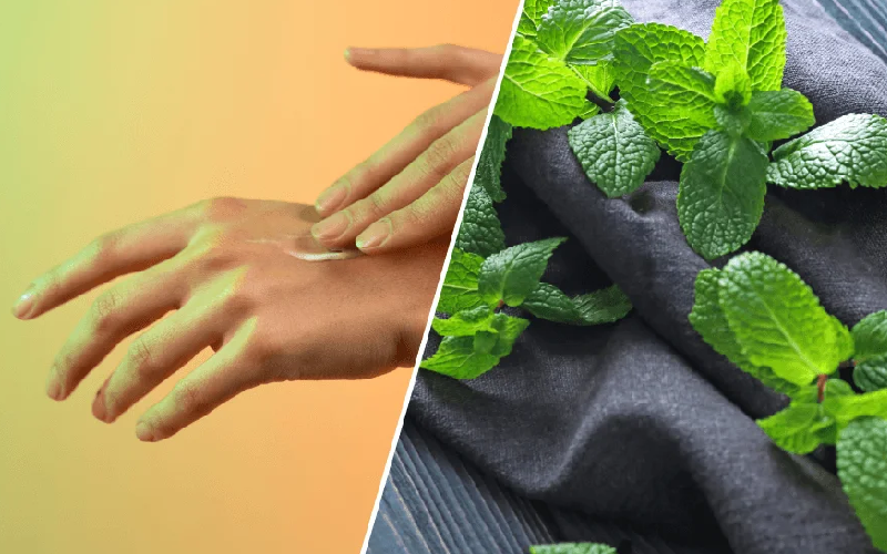 Prevención Y Tratamiento: Remedios Caseros Para La Sarna En Casa