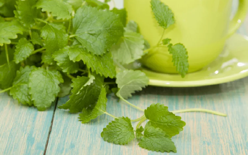 remedios caseros para la sarna