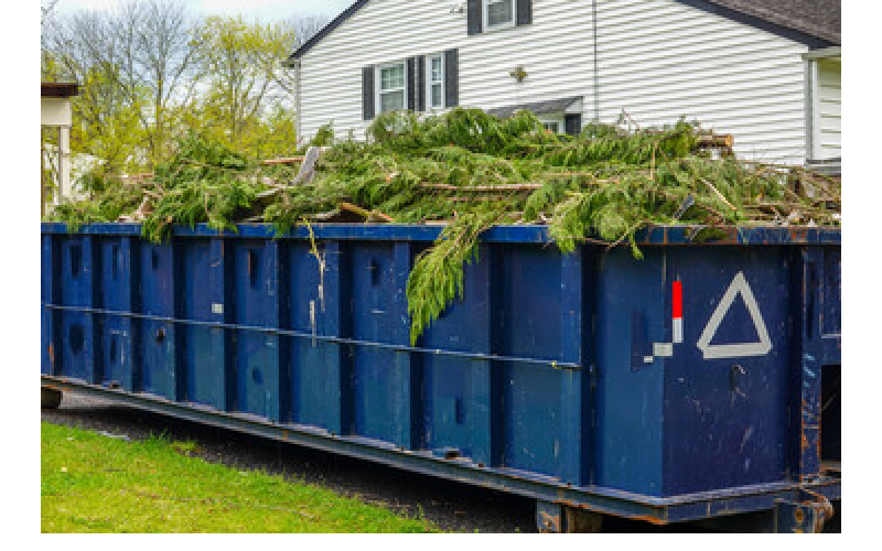 dumpster rental south carolina