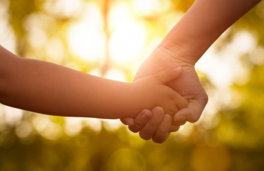 Adoption Lawyer: A Legal Guide To Growing Your Family