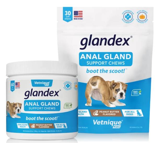 Essential Tips for Choosing the Right Anal Gland Supplement