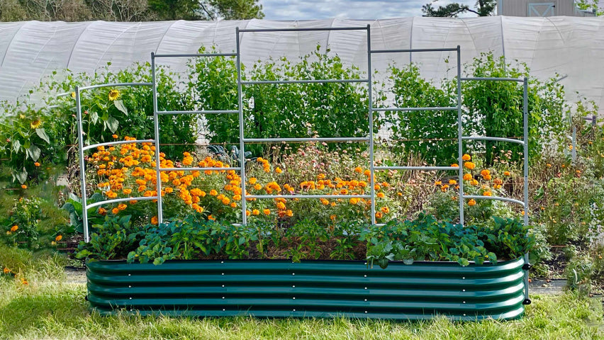 raised garden bed kit 