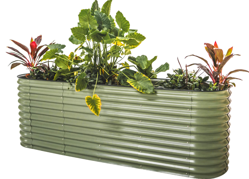 galvanized raised beds