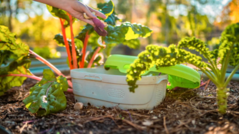 raised garden beds for sale

