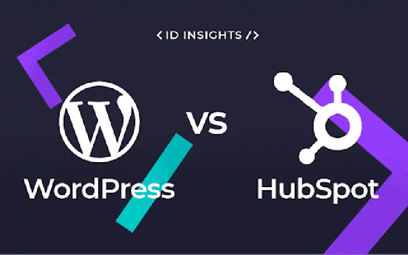 tampa website design 
