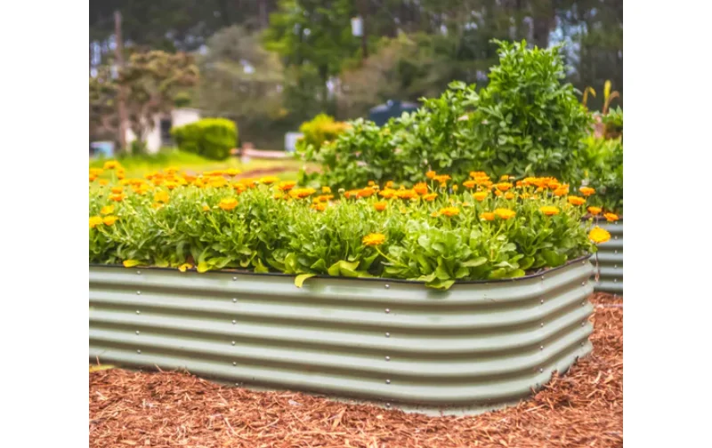 Get Creative With Your Garden: Our Raised Beds For Sale