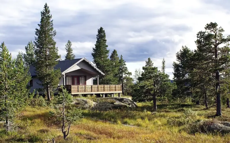 The Best Cabin Rentals In Big Bear: Your Ultimate Guide