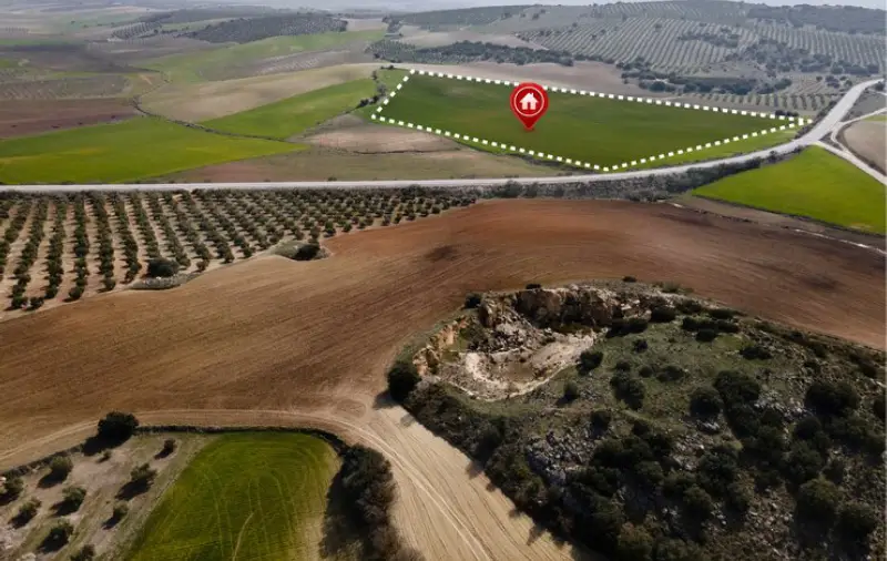 Why Is Texas Land For Sale Booming?