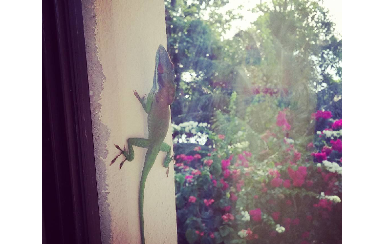 Private Beach Experience at Guanaja Beach Resort