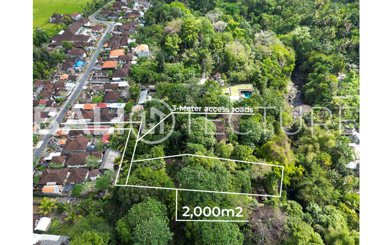 Bali Real Estate Investment: Why Now Is the Best Time to Buy?