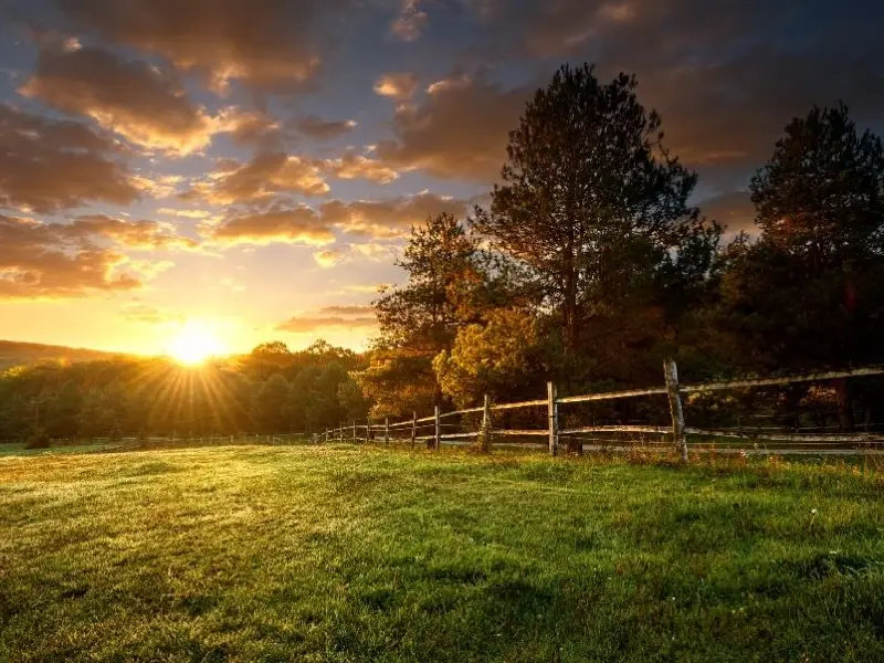 What Makes Lots For Sale In Florida A Hot Market?