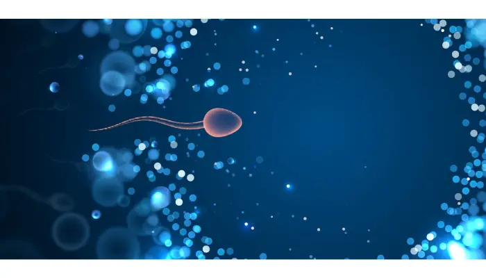 What To Expect After An IUI Treatment: Symptoms And Next Steps?