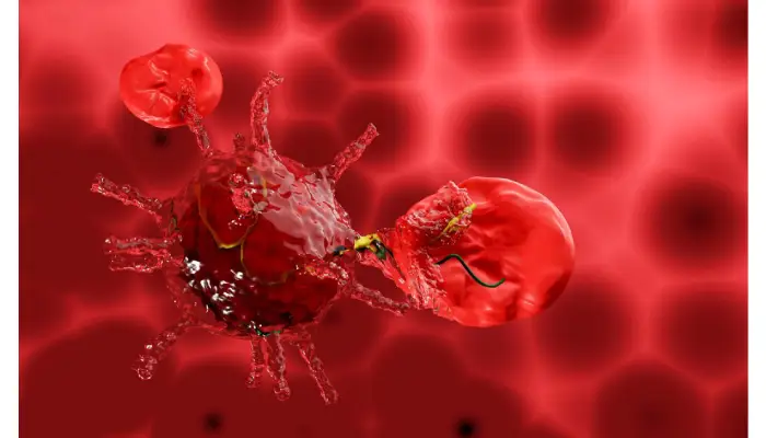 How to Choose a Bank for Umbilical Blood Cord Stem Cells?