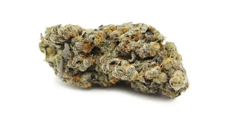 What to Look for When Buying CBD Flowers?