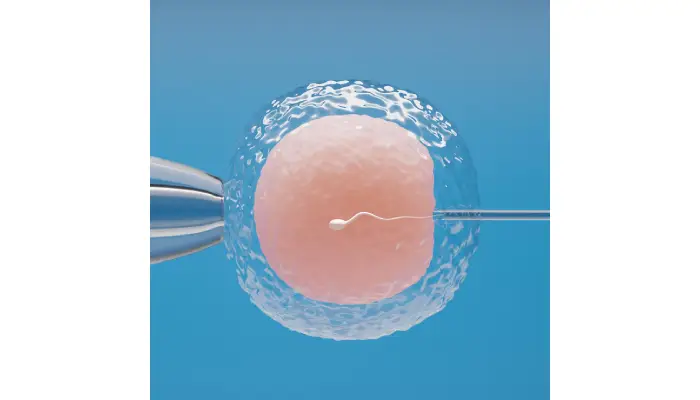 Empowering Women: The Impact of Egg Donation on Fertility Treatments